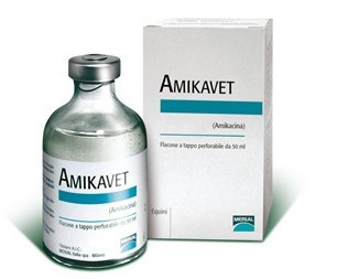 Amikavet - image 0