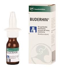 Buderhin - image 0