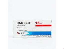 Camelot - изображение 0