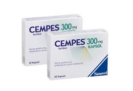 Cempes - image 0