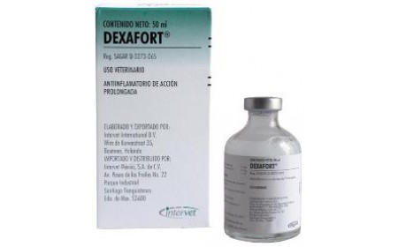 Dexafort (Dexamethasone) - image 0