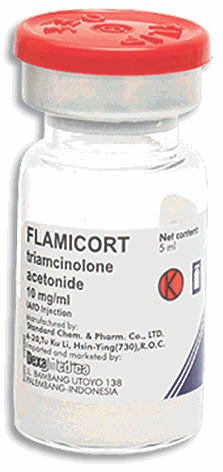 Flamicort - изображение 1