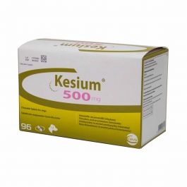 Kesium - изображение 2