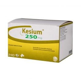 Kesium - изображение 3