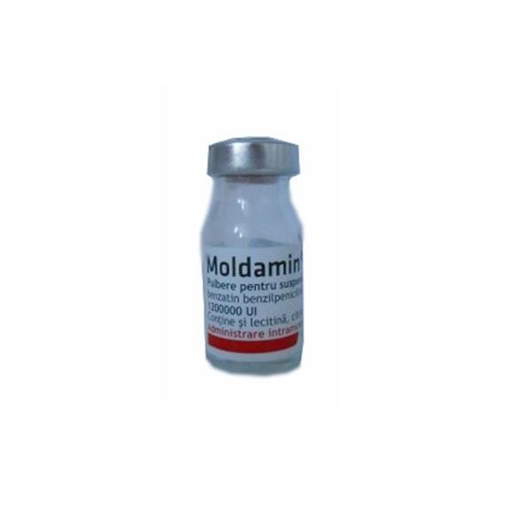 Moldamin - изображение 0