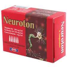 Neuroton - изображение 0