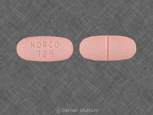 Norco (Hydrocodone bitartrate_Paracetamol) - image 28