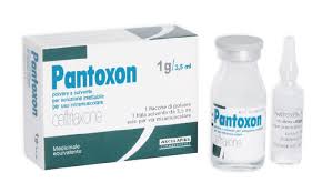 Pantoxon - image 0