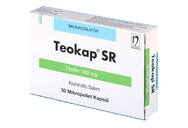 Teokap-SR - изображение 2